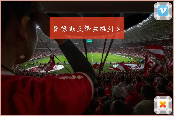 费德勒交锋兹维列夫