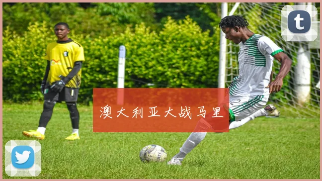 澳大利亚大战马里