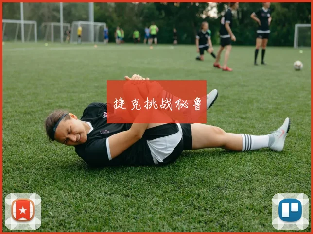 捷克挑战秘鲁