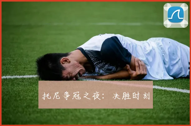 托尼争冠之夜：决胜时刻
