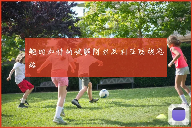 鲍姆加特纳破解阿尔及利亚防线思路