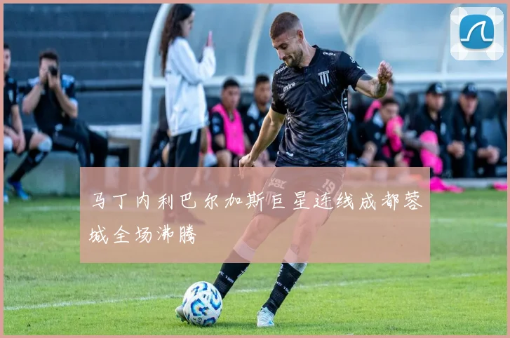 马丁内利巴尔加斯巨星连线成都蓉城全场沸腾